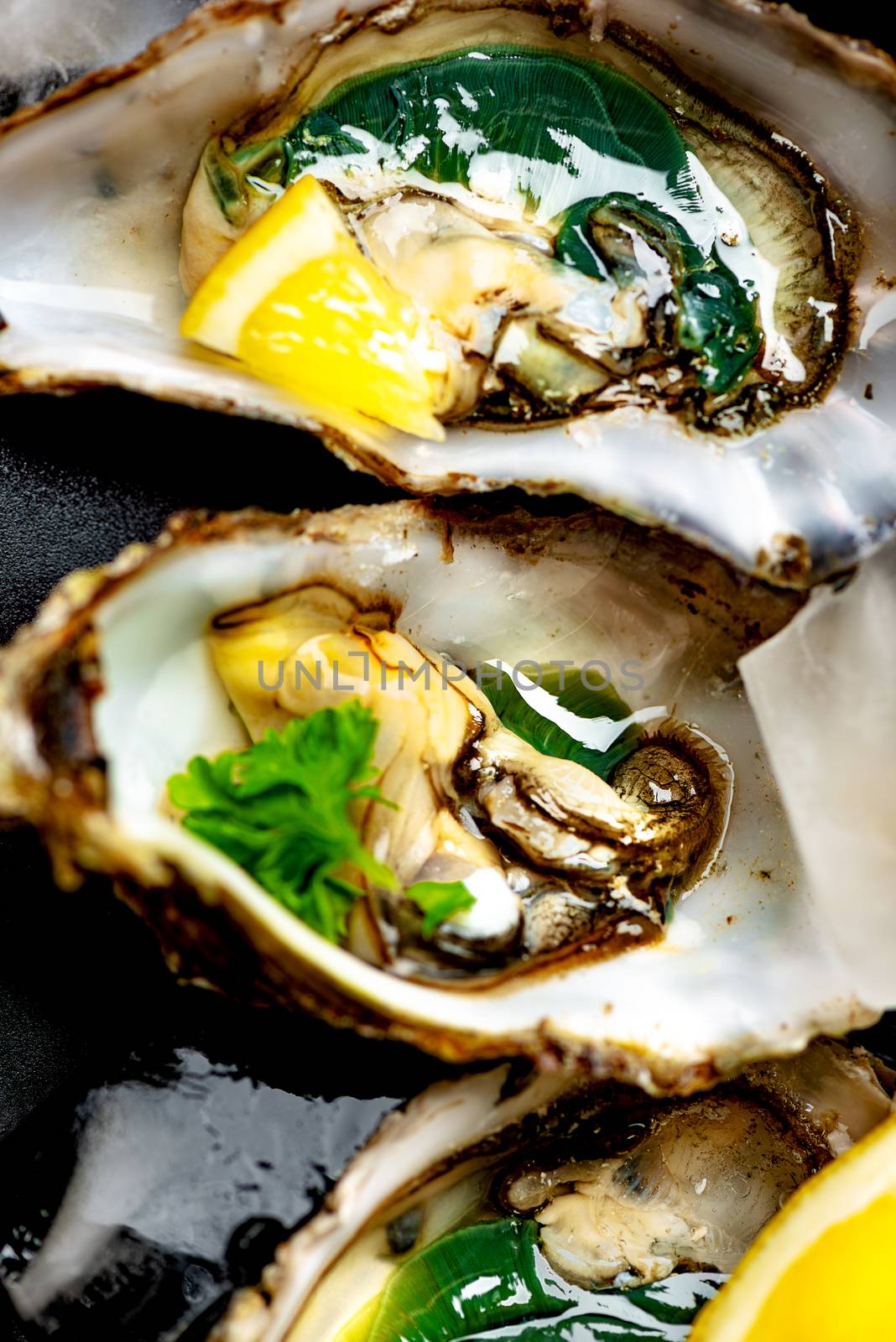 Raw opened oysters by Nanisimova