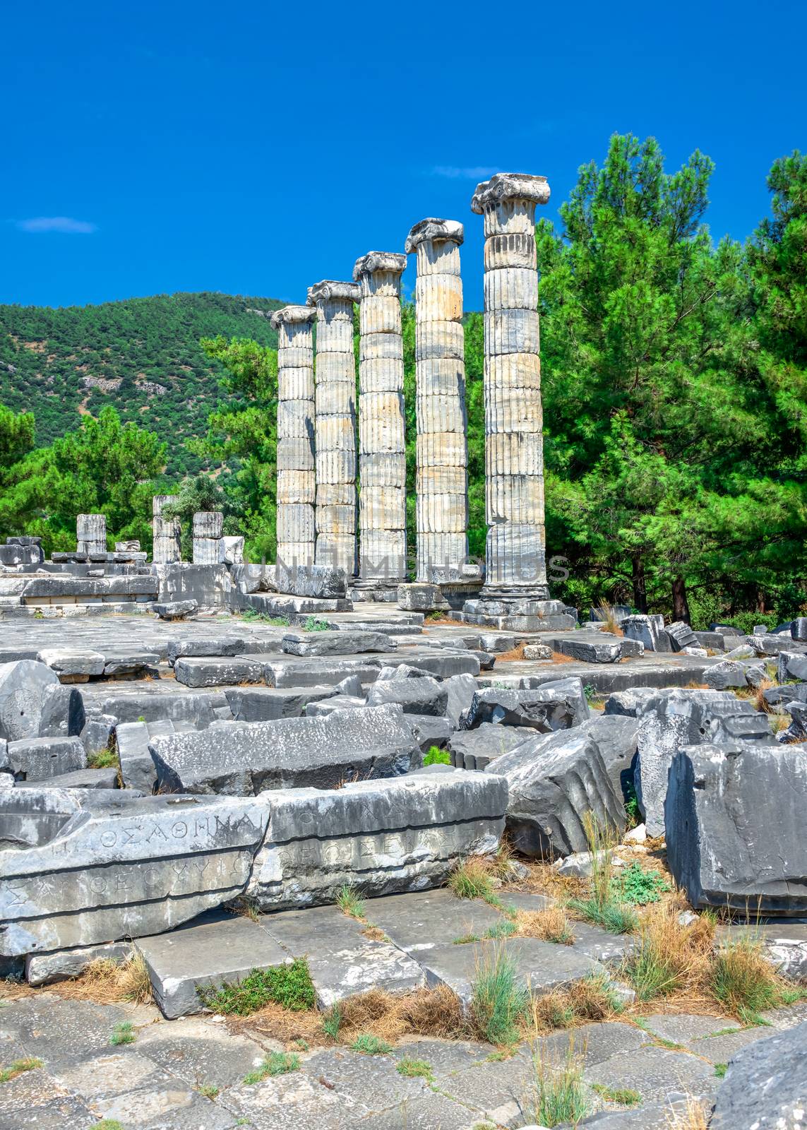 The Temple of Athena Polias in the Ancient Priene, Turkey by Multipedia