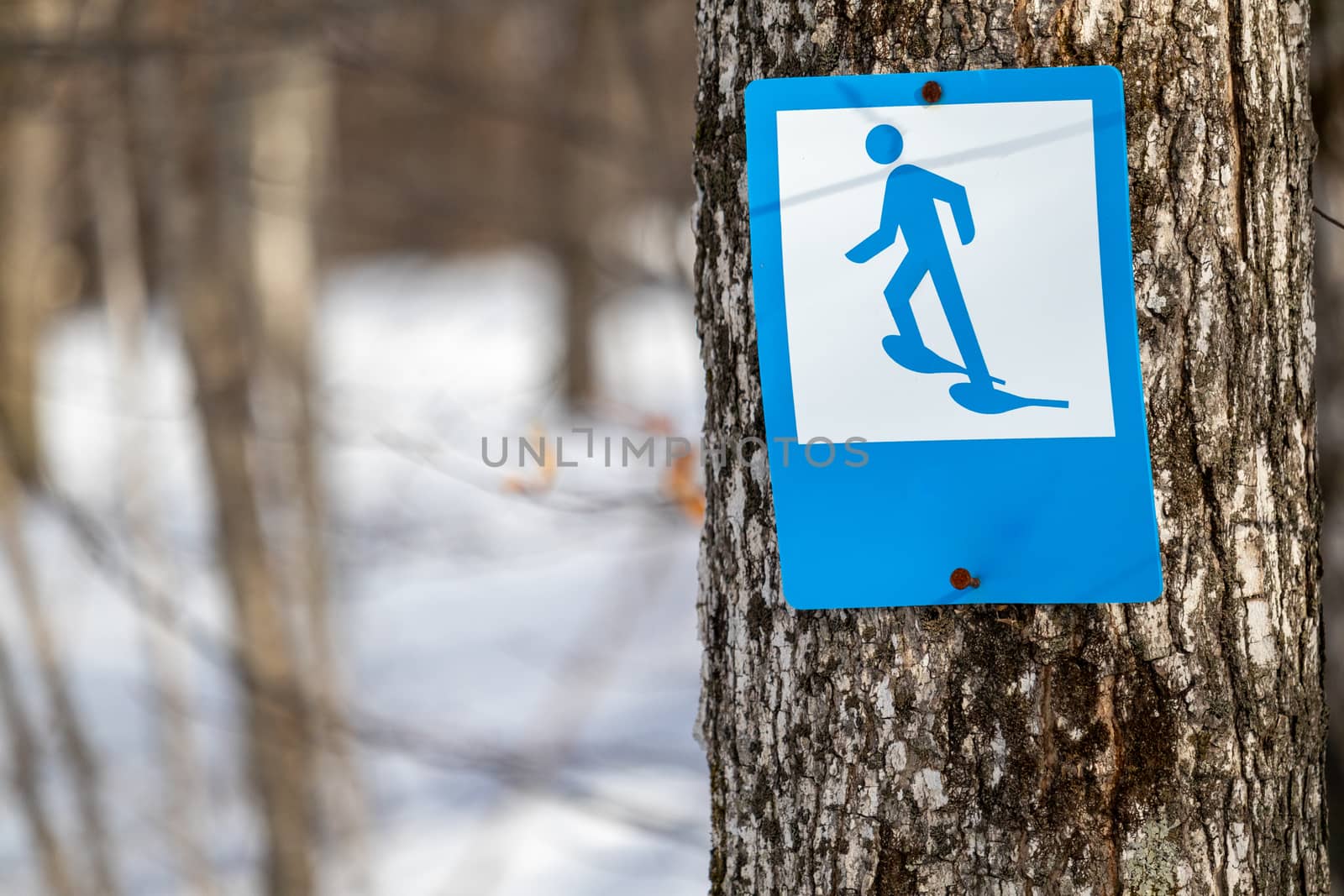 A blue-and-white sign features an illustration of a stick figure wearing snowshoes. This trail marker indicates a trail suitable for snowshoeing in the winter season.