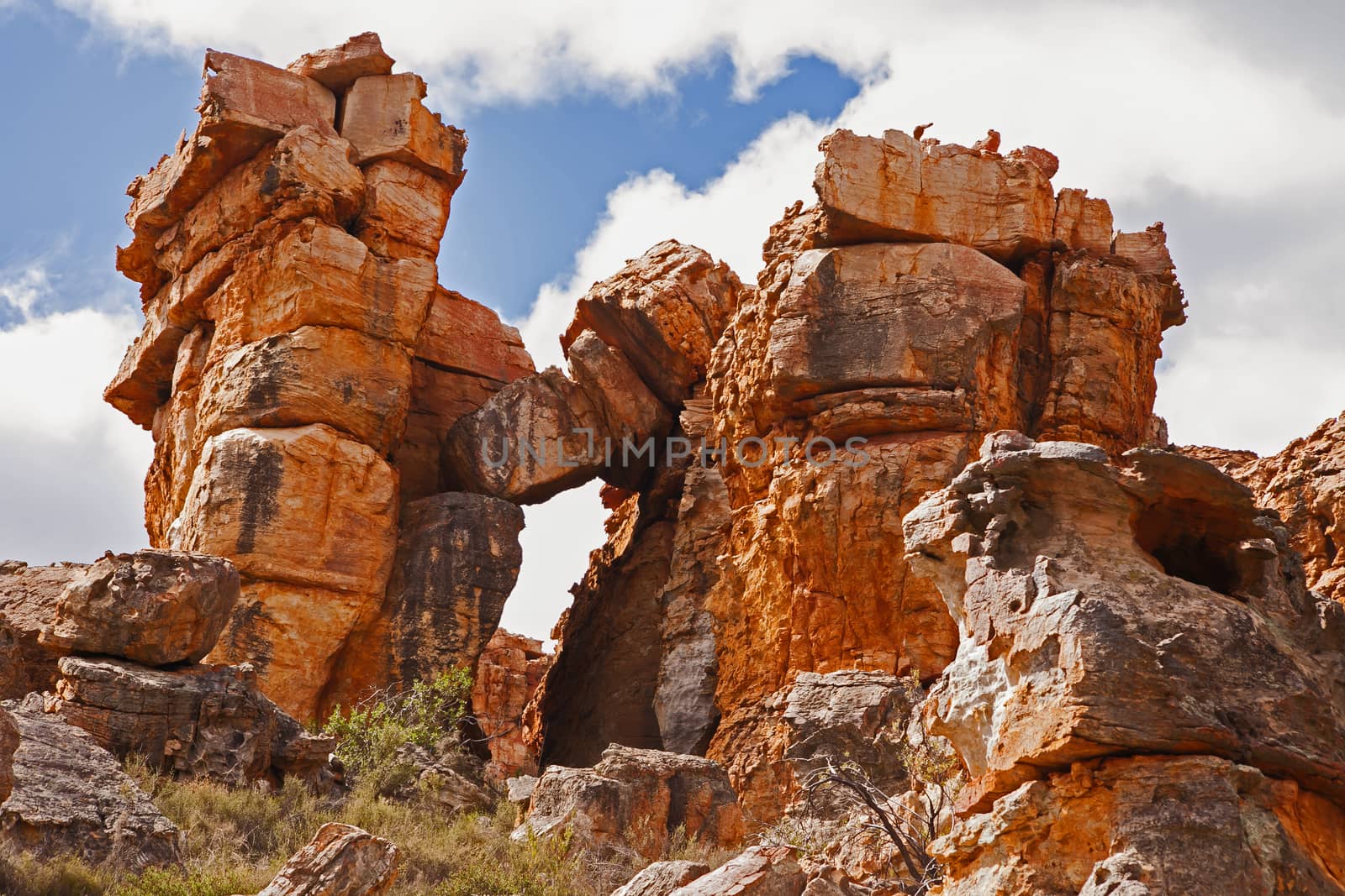 Interesting sandstone rock formations in the Cederberg range were formed by wind erosion.