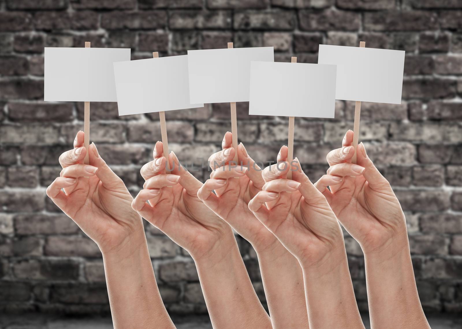 Five Female Hands Holding Blank Signs Against Aged Brick Wall.