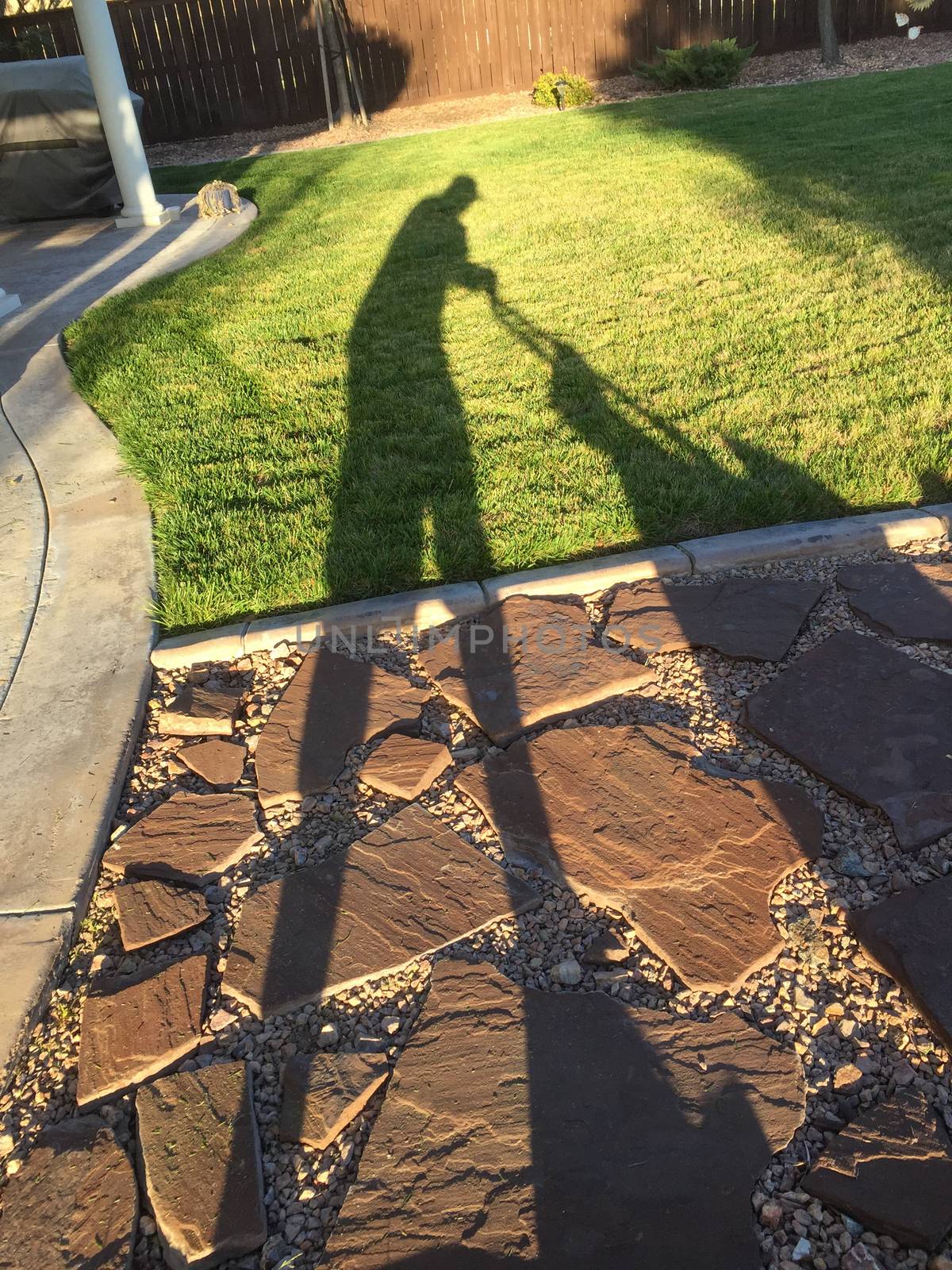 Shadow of Man Pushing Lawn Mower Over Grass.