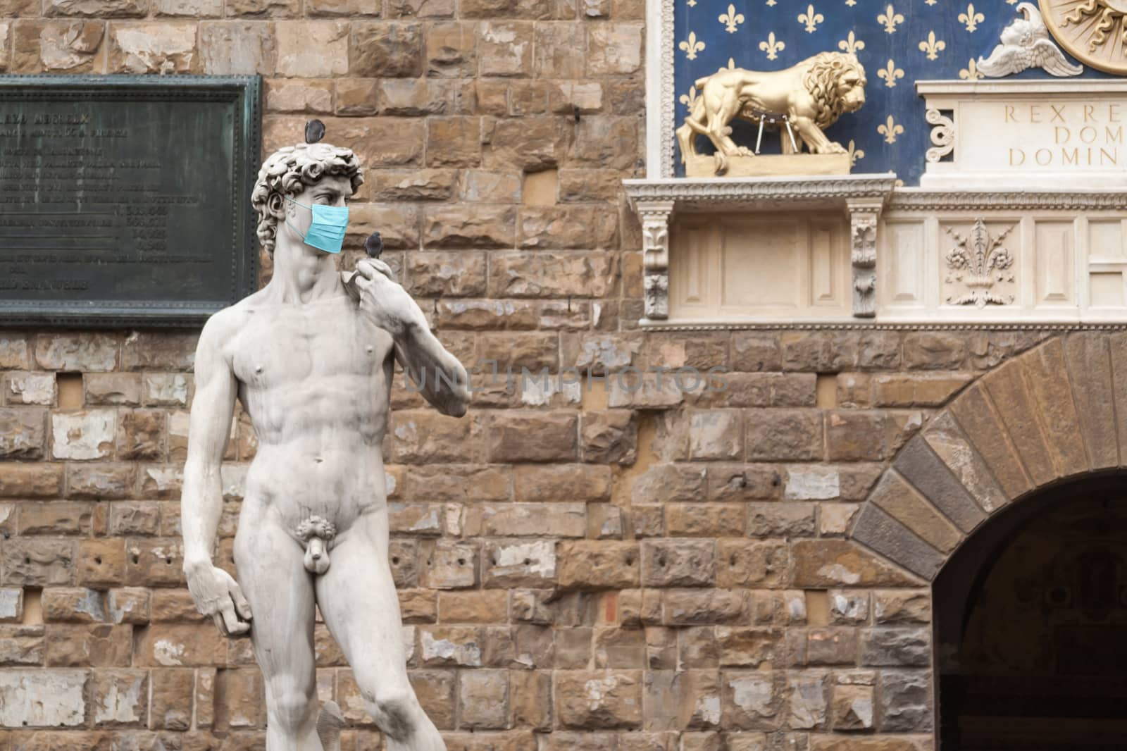 The Statue Of David in the Piazza della Signoria In Italy Wearin by Feverpitched