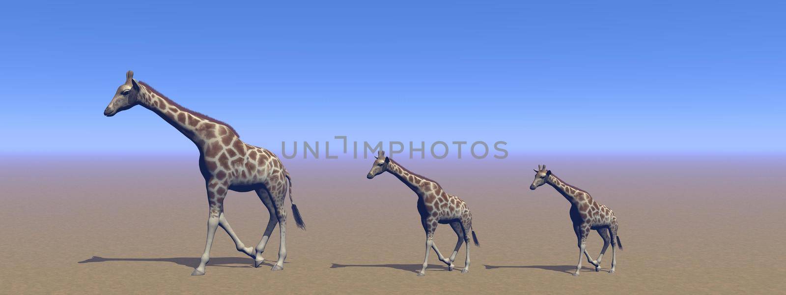 giraffe mom and her little baby and sky - 3d rendering