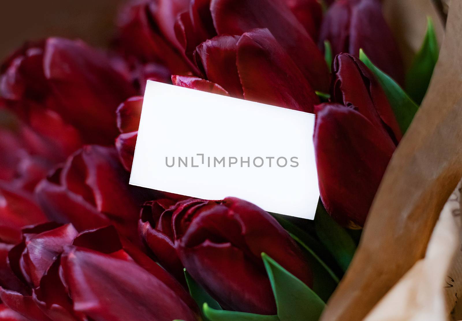 Holiday greeting card among deep red tulip bouquet