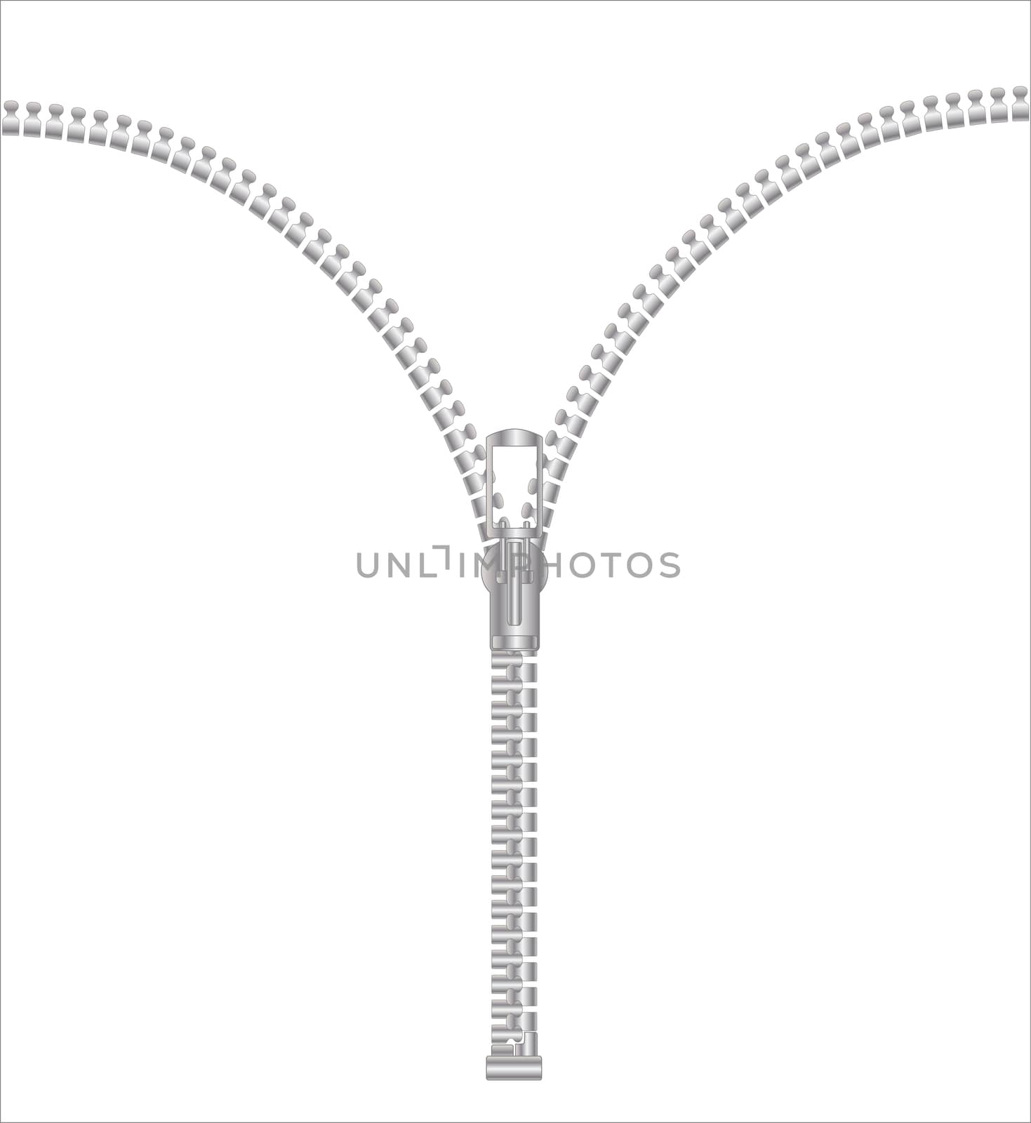 A typical zipper isolated on a white background