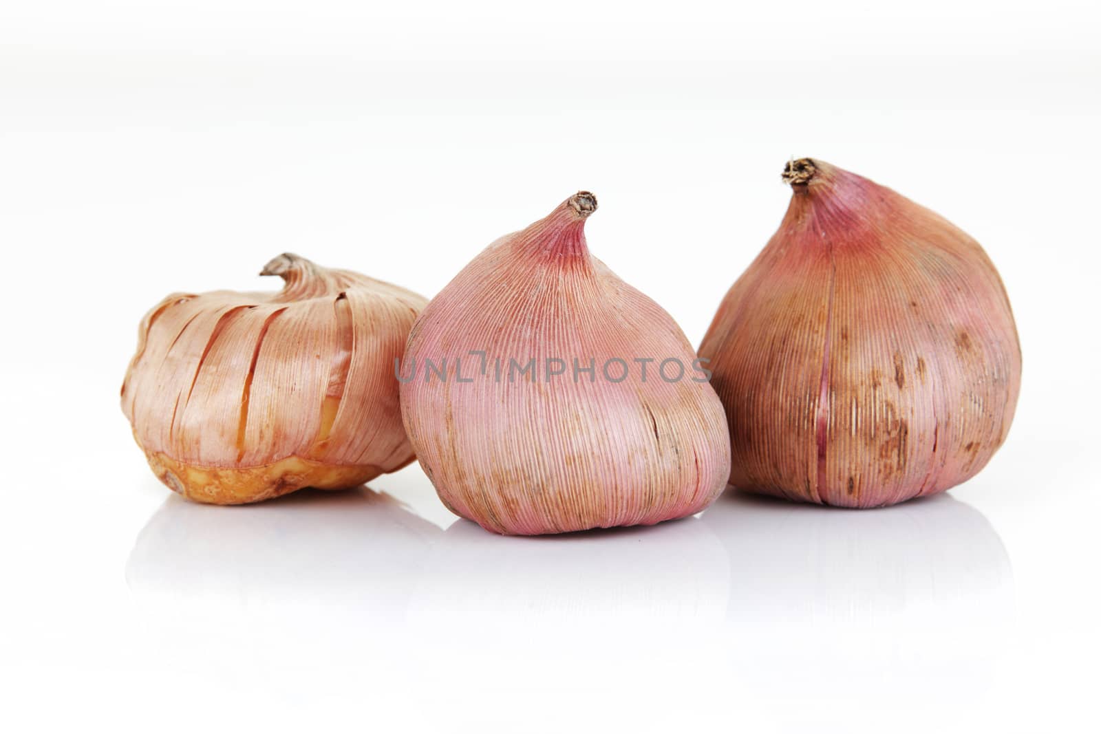 three Gladioli bulbs isolated on a white background by VivacityImages