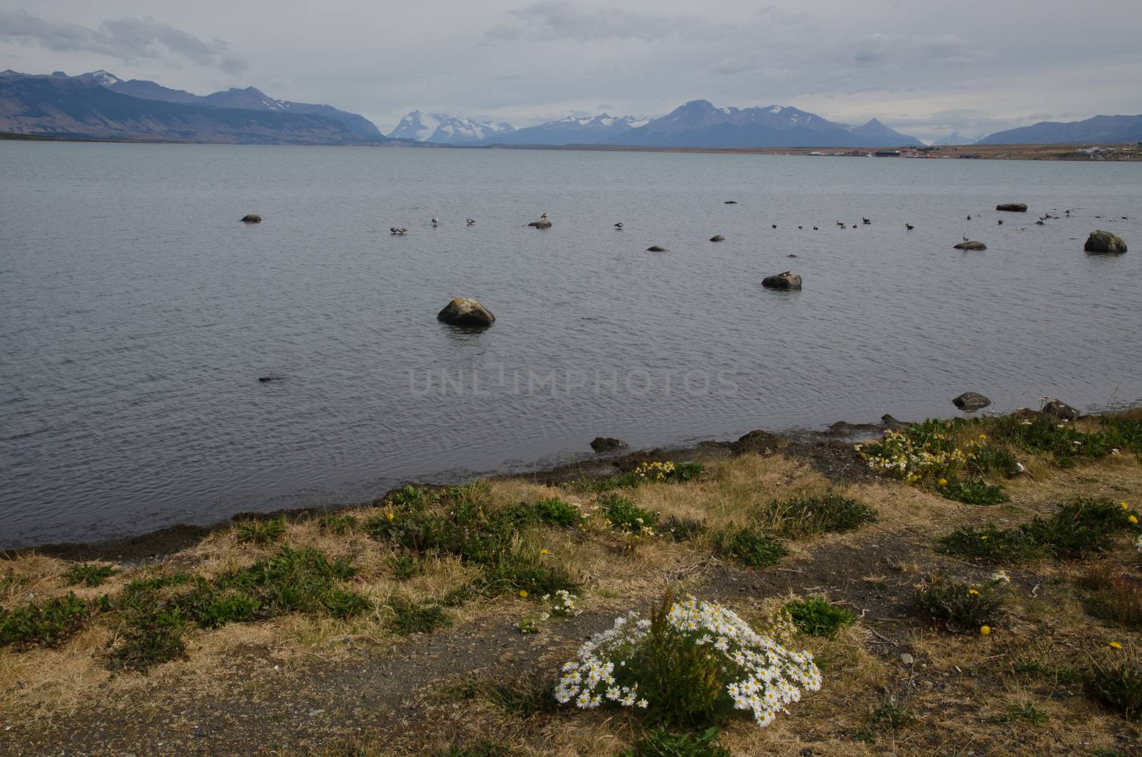 Ultima Esperanza Inlet from Puerto Natales. Ultima Esperanza Province. Magallanes and Chilean Antarctic Region. Chile.