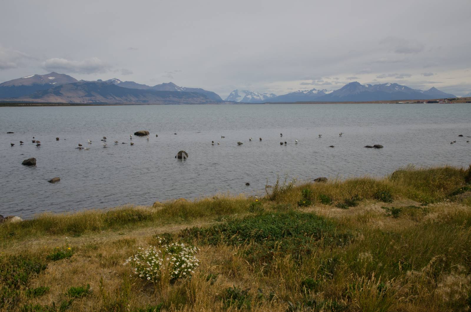 Seascape in the Ultima Esperanza Inlet from Puerto Natales. by VictorSuarez