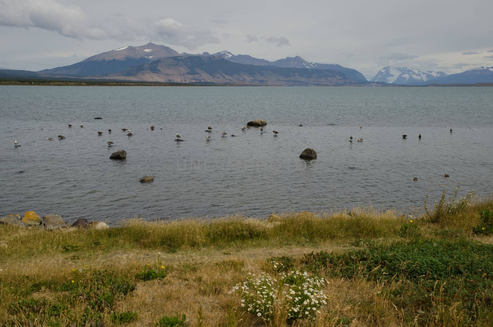 Ultima Esperanza Inlet from Puerto Natales. Ultima Esperanza Province. Magallanes and Chilean Antarctic Region. Chile.