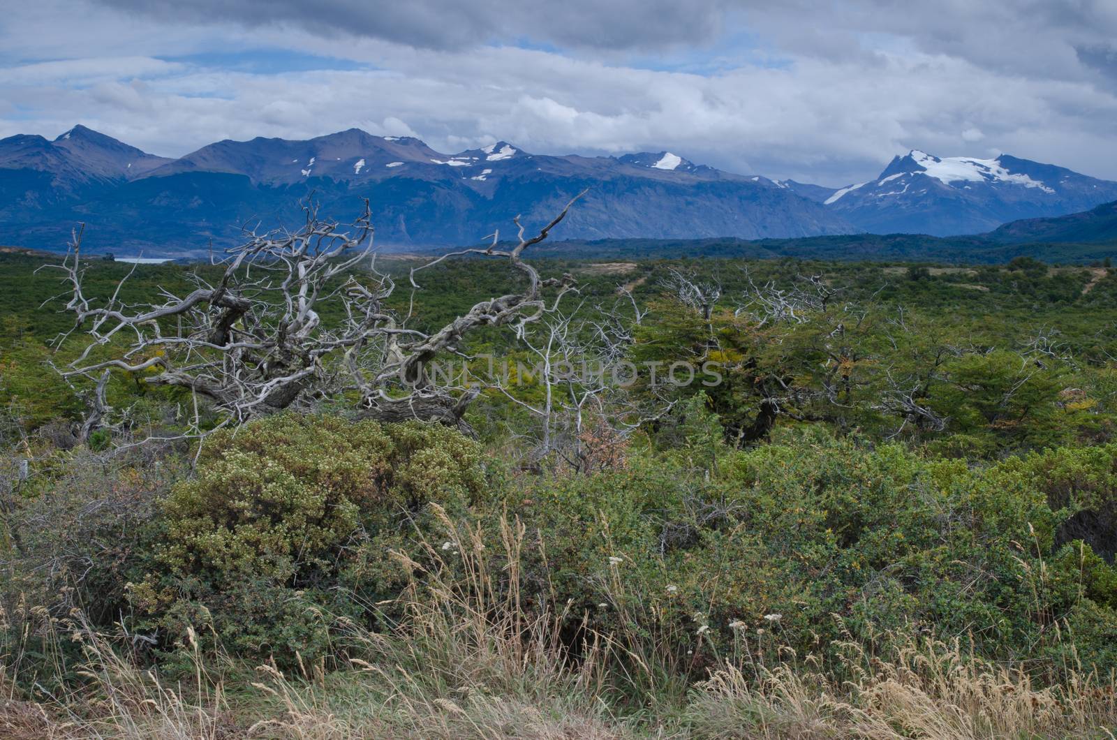 Scrubland and mountains in the Chilean Patagonia. Ultima Esperanza Province. Magallanes and Chilean Antarctic Region. Chile.