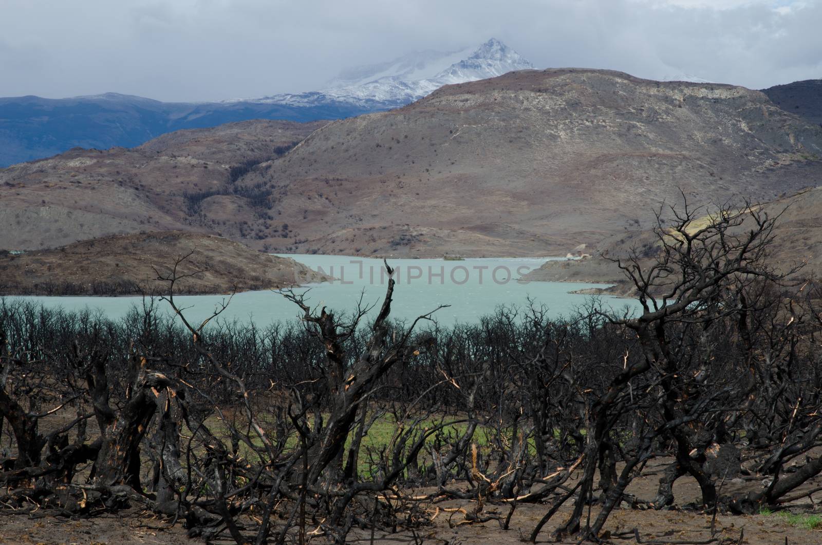 Pehoe lake and burned area in the Torres del Paine National Park by the great fire in 2011-2012. Ultima Esperanza Province. Magallanes and Chilean Antarctic Region. Chile.