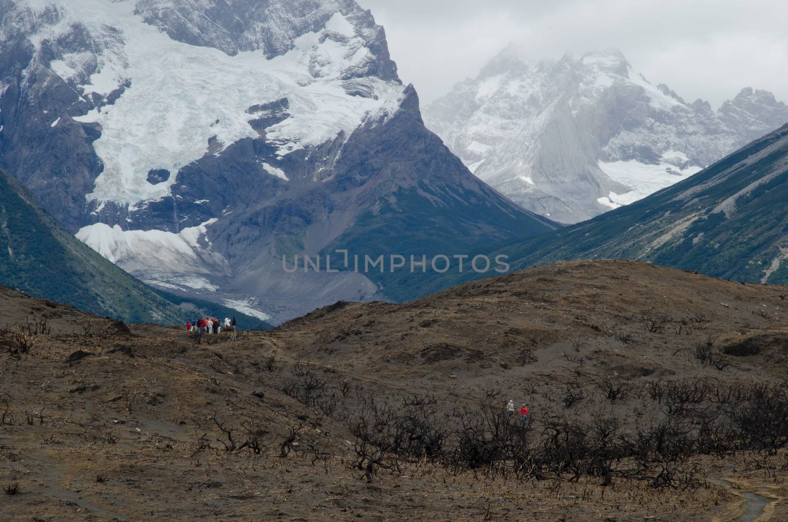 Hikers on land burned in the Torres del Paine National Park by the great fire in 2011-2012. by VictorSuarez