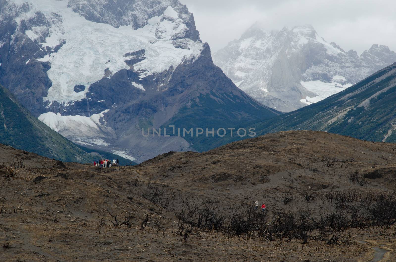 Hikers on land burned in the Torres del Paine National Park by the great fire in 2011-2012. Ultima Esperanza Province. Magallanes and Chilean Antarctic Region. Chile.