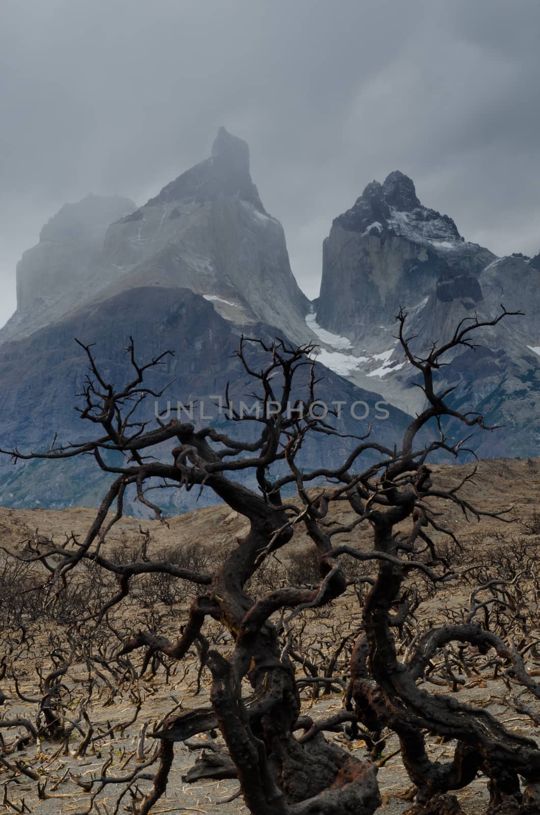 Paine Horns and burnt ground in the Torres del Paine National Park by the great fire in 2011-2012. by VictorSuarez