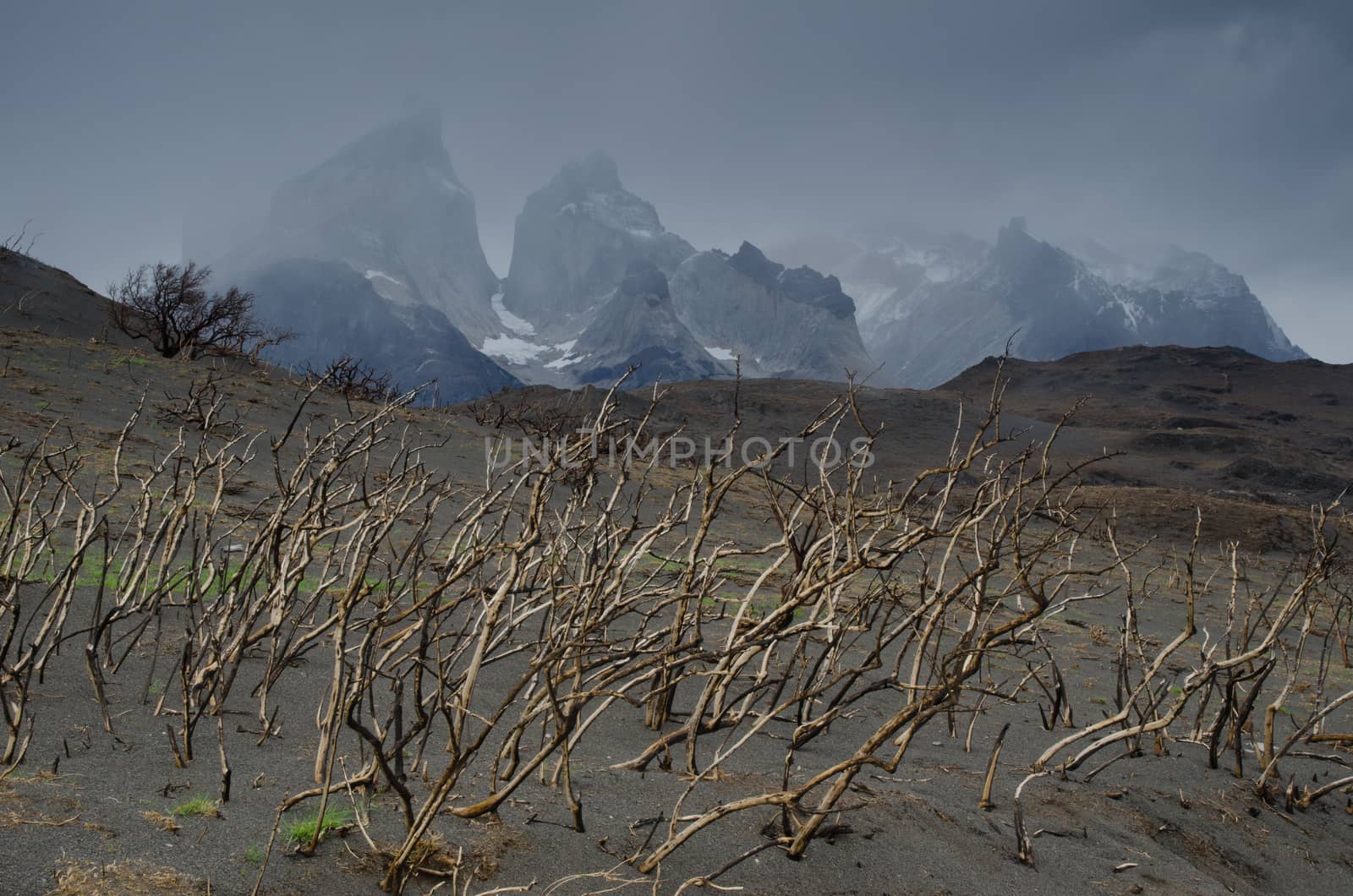 Paine Horns and burnt ground in the Torres del Paine National Park by the great fire in 2011-2012. by VictorSuarez