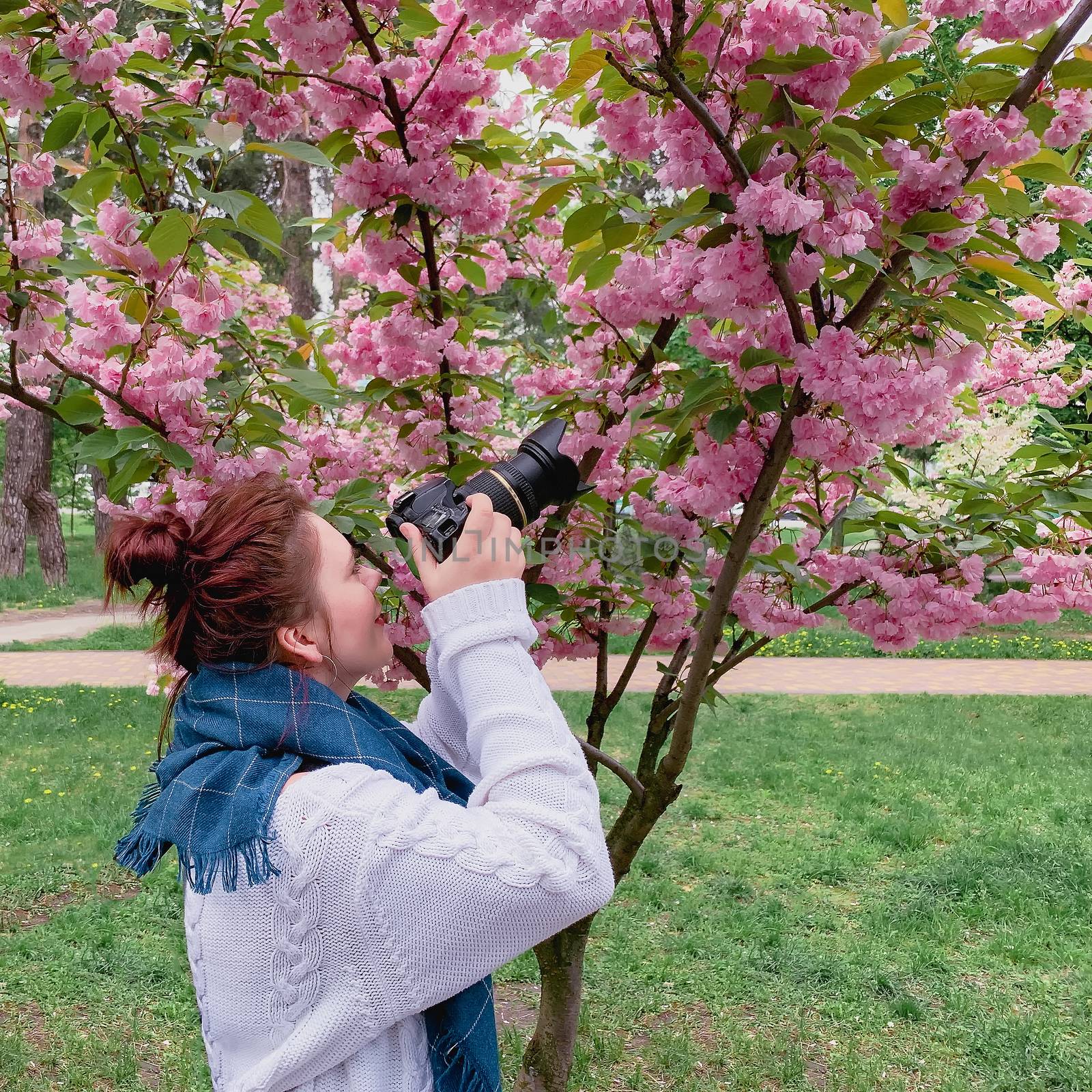 young happy smiling red-haired woman with a white sweater and blue scarf takes a picture with a flowering pink sakura tree in a park in the city of Kiev, Ukraine by Tanacha