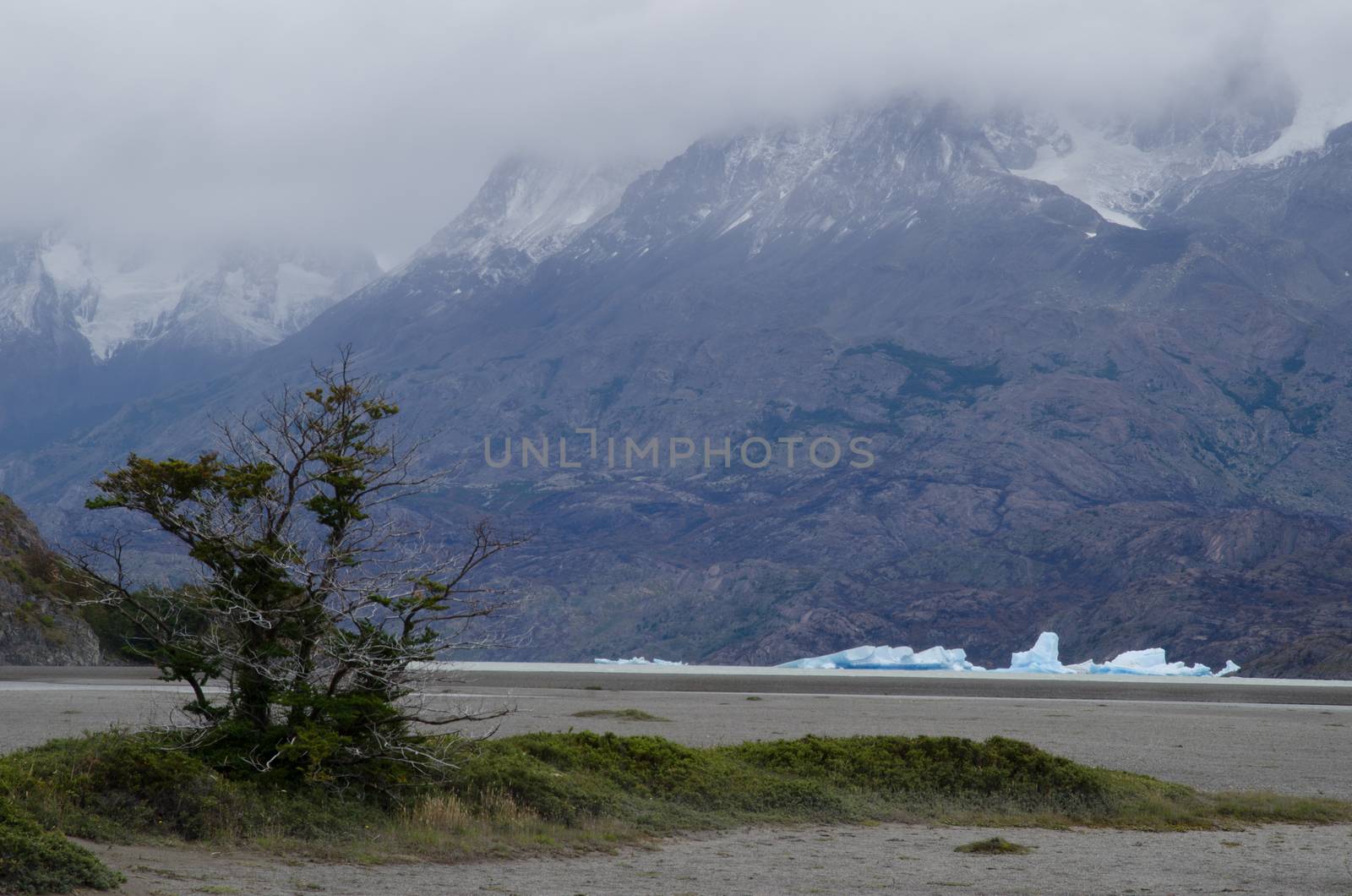 Icebergs on Grey Lake and mountains covered by clouds. by VictorSuarez