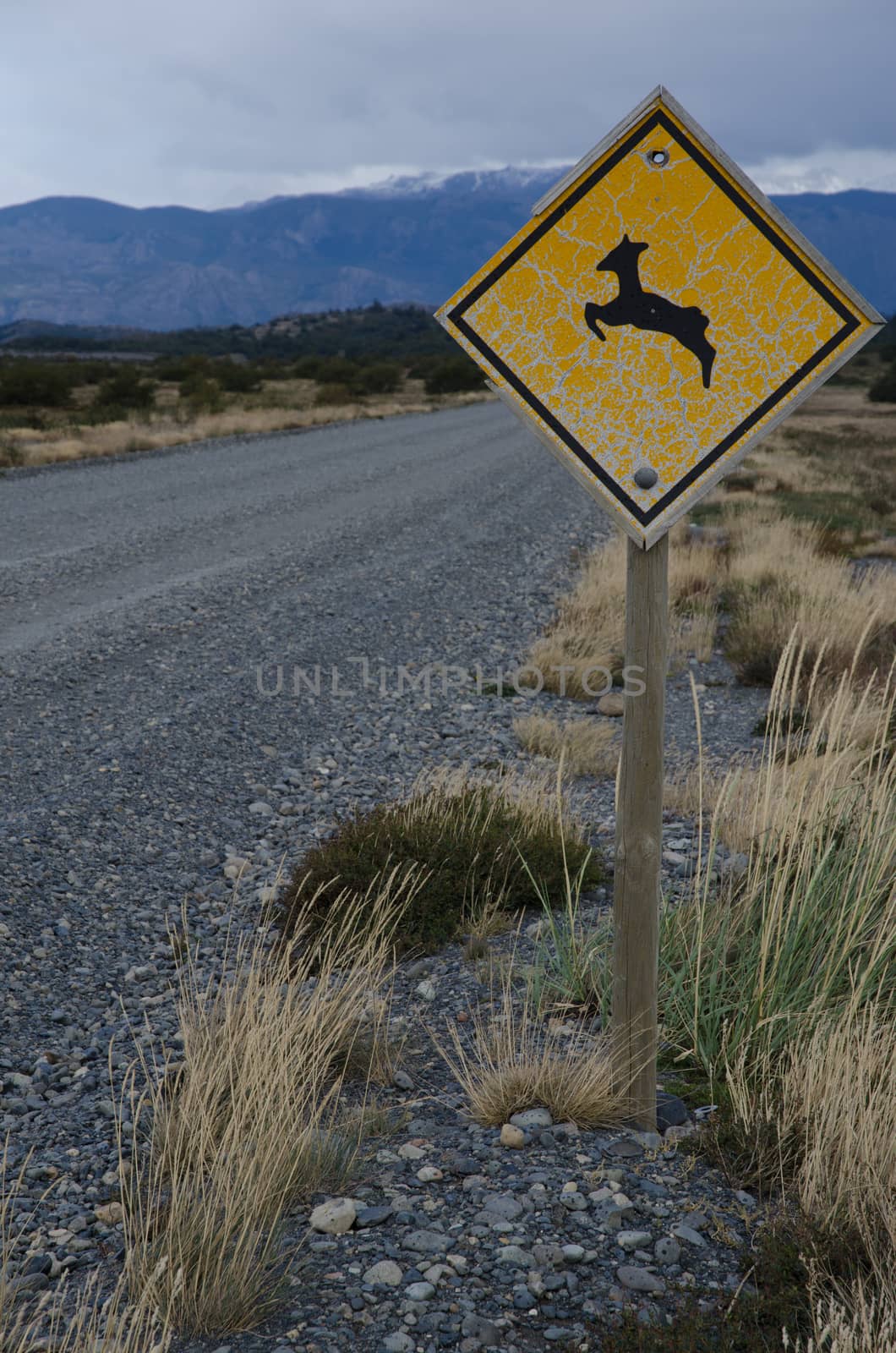 South Andean deer Hippocamelus bisulcus crossing signal. by VictorSuarez