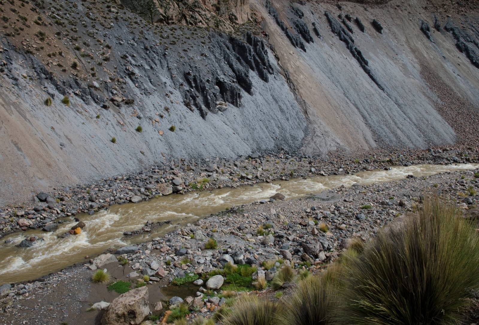 Lauca River in Lauca National Park. Arica y Parinacota Region. Chile.