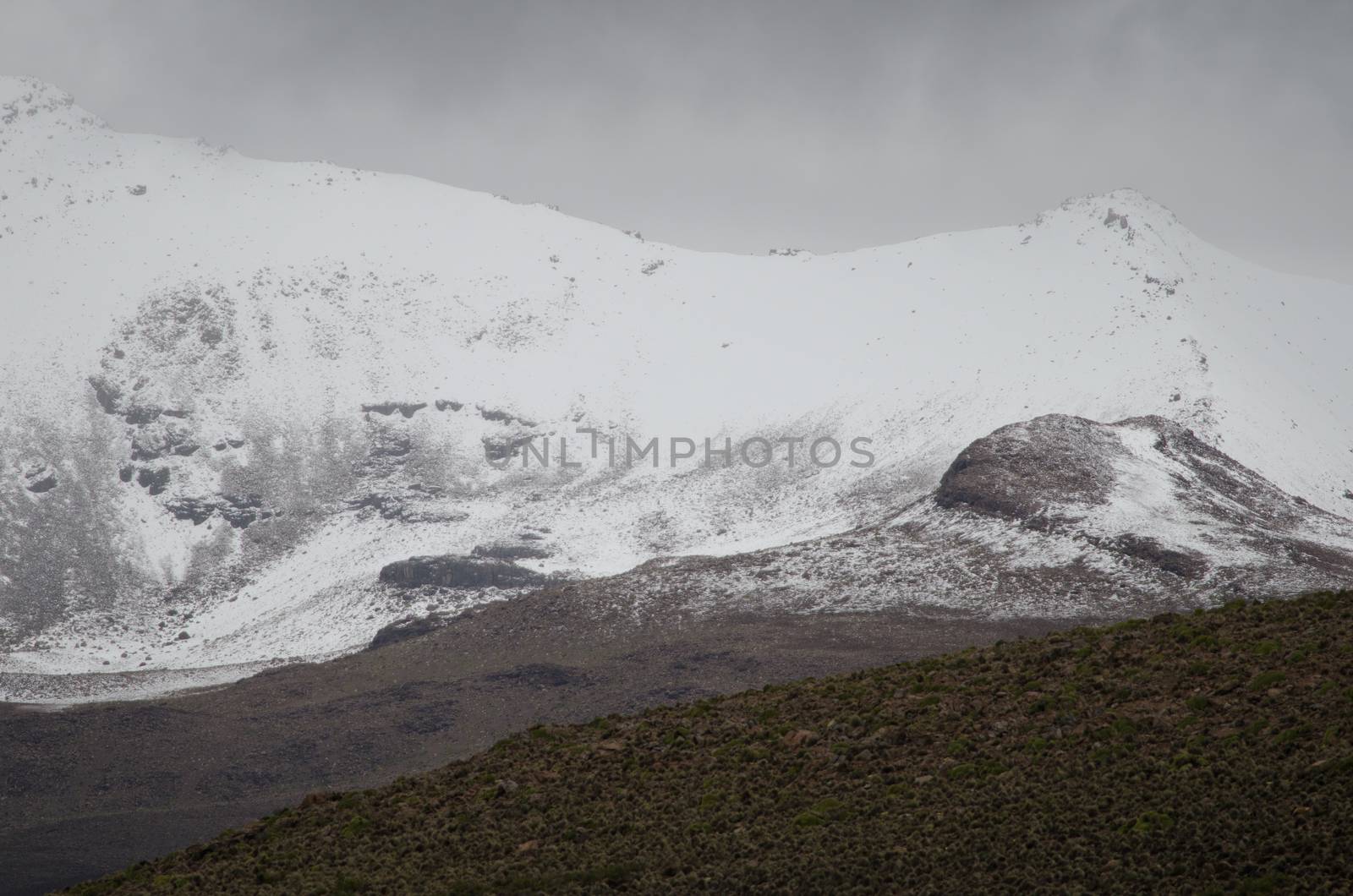 Landscape with snowy mountain in Lauca National Park. Arica y Parinacota Region. Chile.
