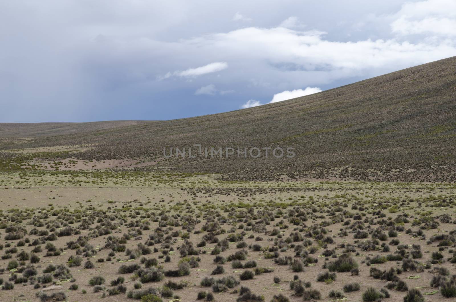 Plateau and hill in Lauca National Park. by VictorSuarez