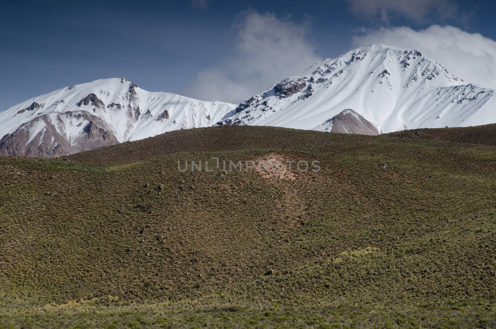 Snowy peaks in the Lauca National Park. by VictorSuarez