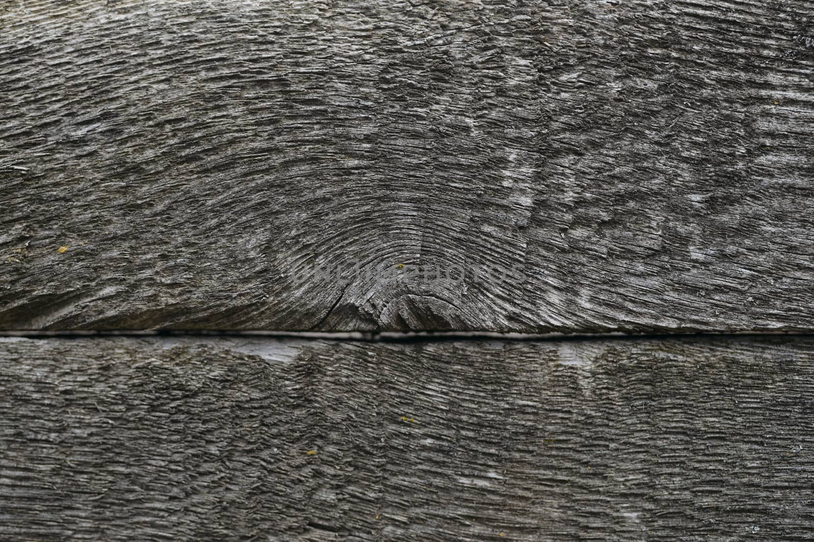 Old wooden texured surface closeup. Moss and relief on surface.  by alexsdriver