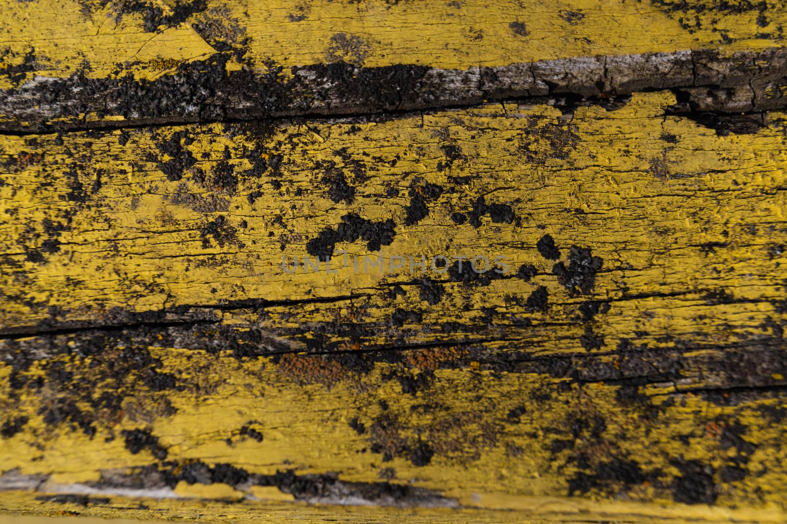 A part of old yellow wooden fence. The yellow paint on wood is old and cracked. Perfect painted wooden texture.