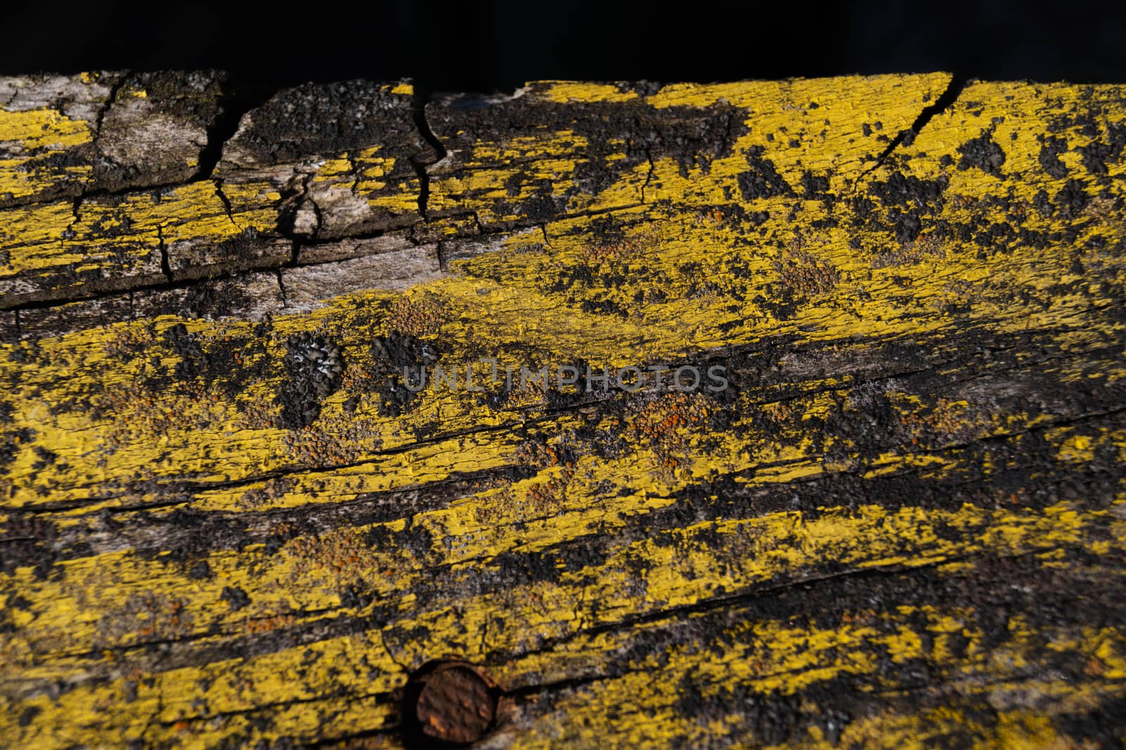 A part of old yellow wooden fence. The yellow paint on wood is old and cracked. Perfect painted wooden texture.