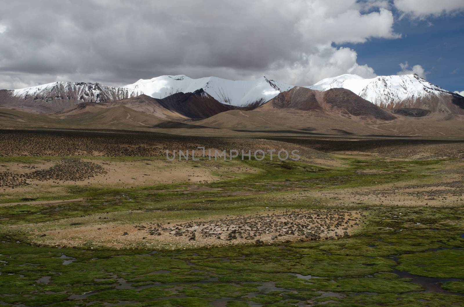 High plateau and mountains in Lauca National Park. by VictorSuarez