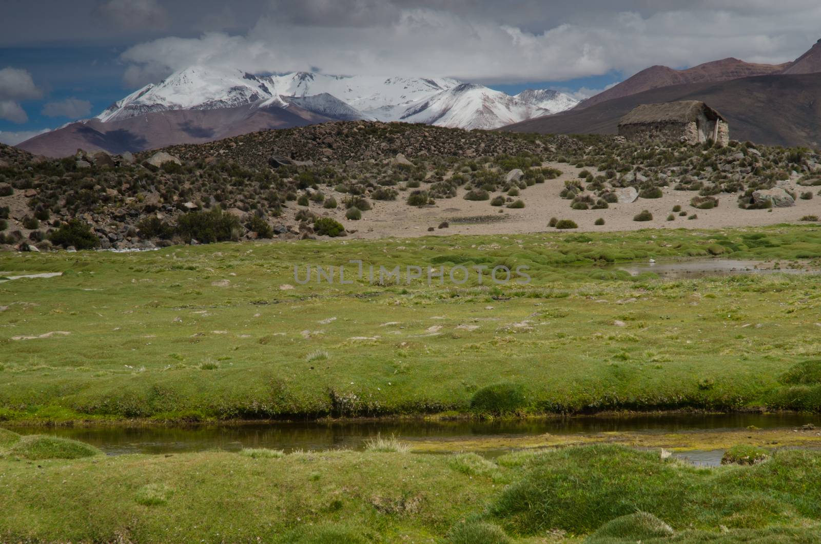 Meadow, hut and mountains in Lauca National Park. Arica y Parinacota Region. Chile.