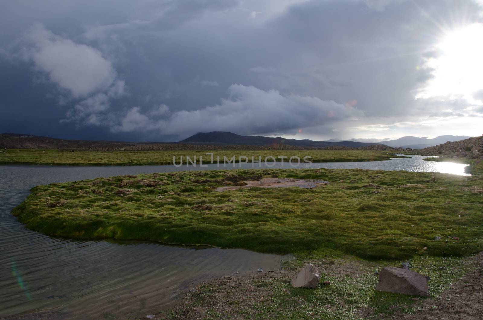 Landscape with meadows and lagoon in Parinacota. by VictorSuarez