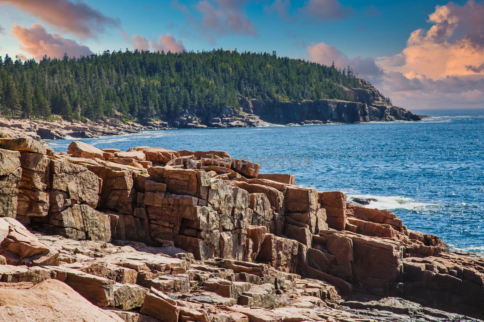 Rocky coast in the Acadia National Forst near Bar Harbor, Maine