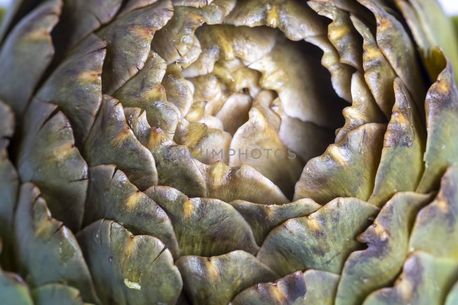 cooked artichoke on a blue plate