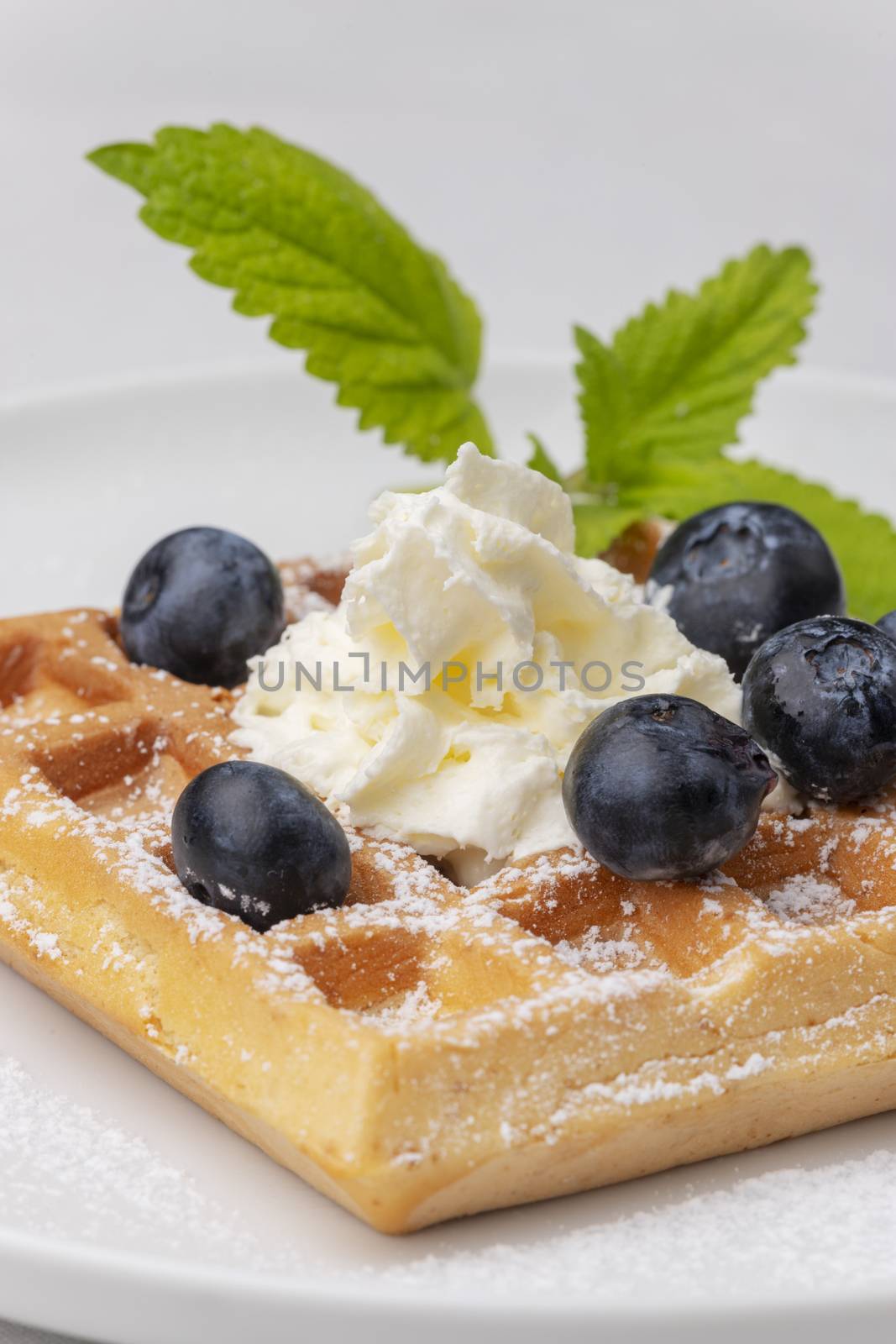 belgian waffle with blueberries