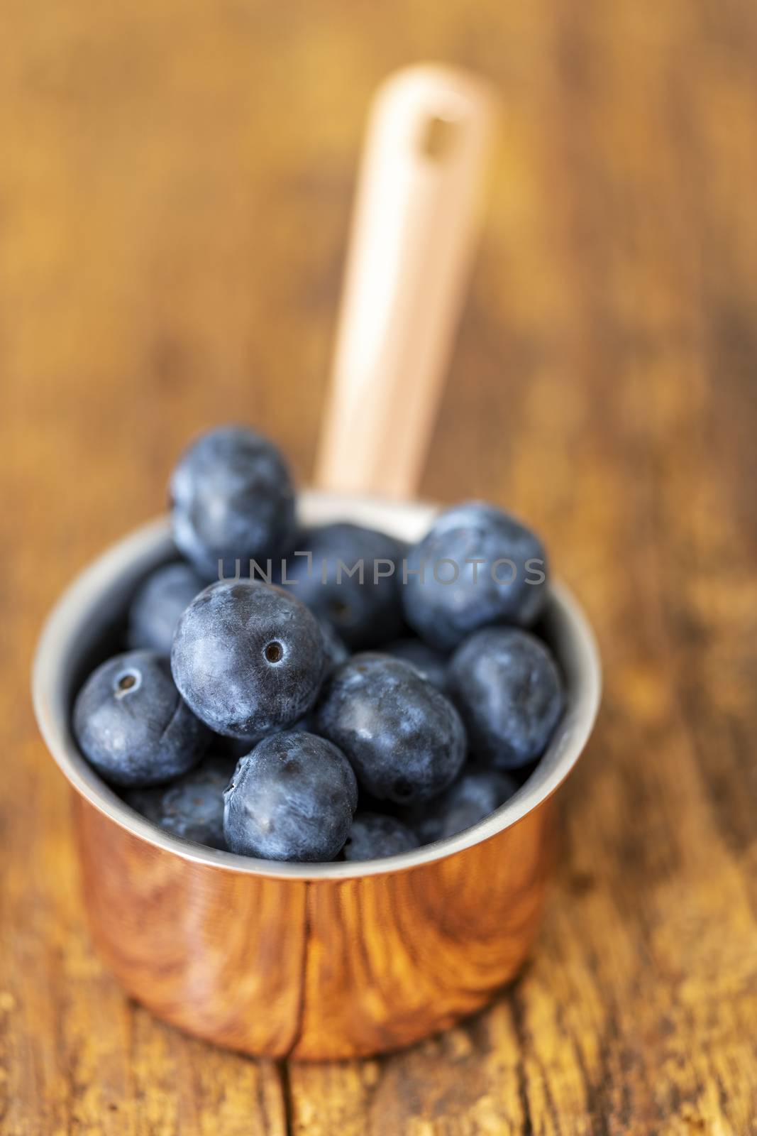 blue berries by bernjuer