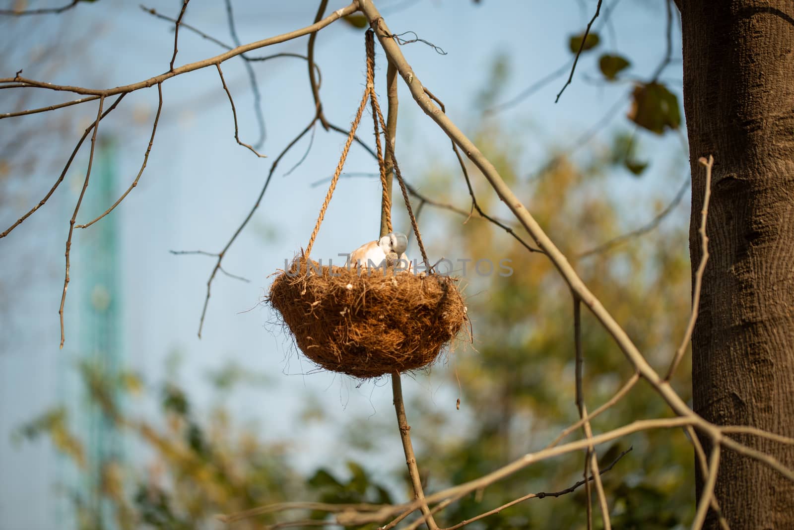 Mother bird feeding her baby in the nest hanging on the tree branch