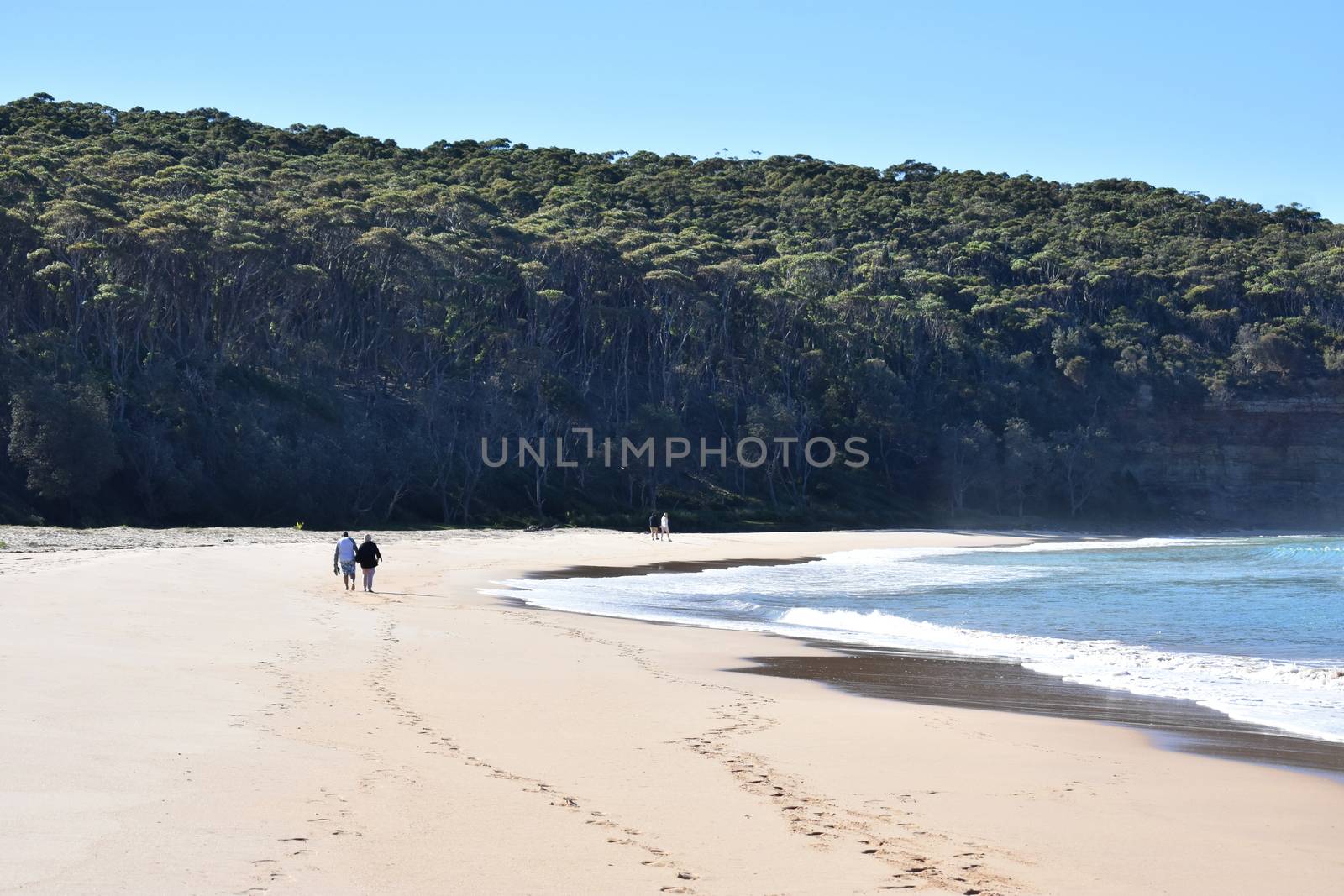 Two couples holding hands walking along the beach