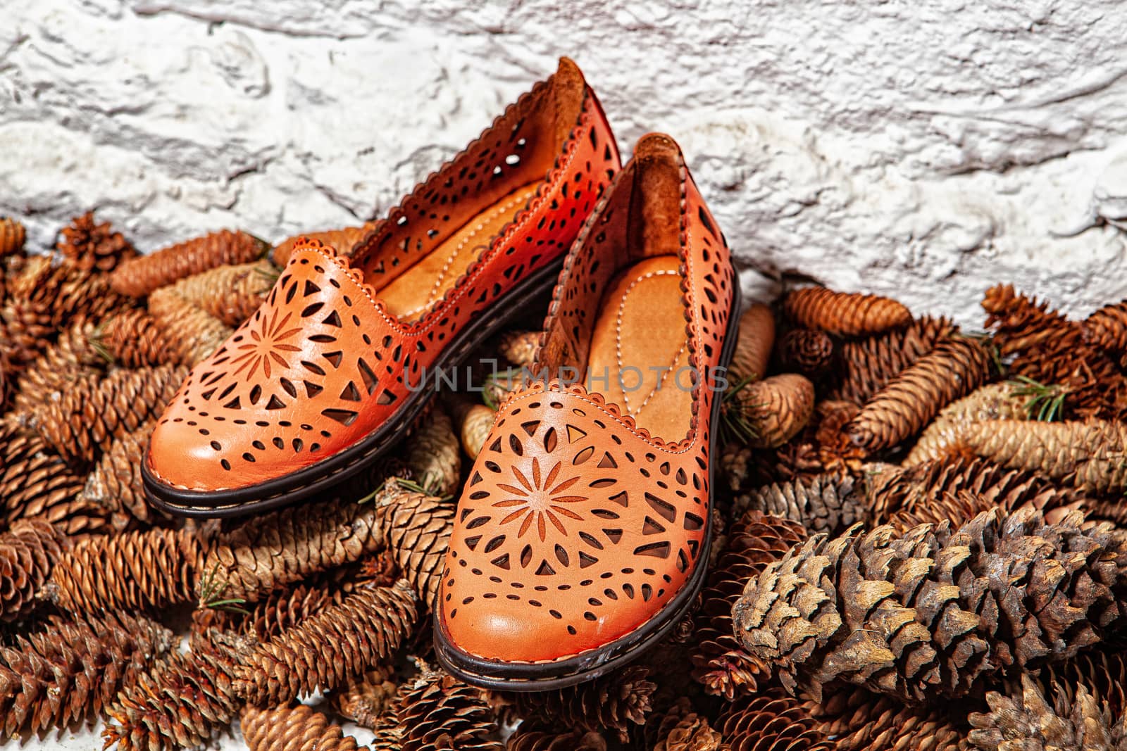 Different shoes with accessories on a studio background