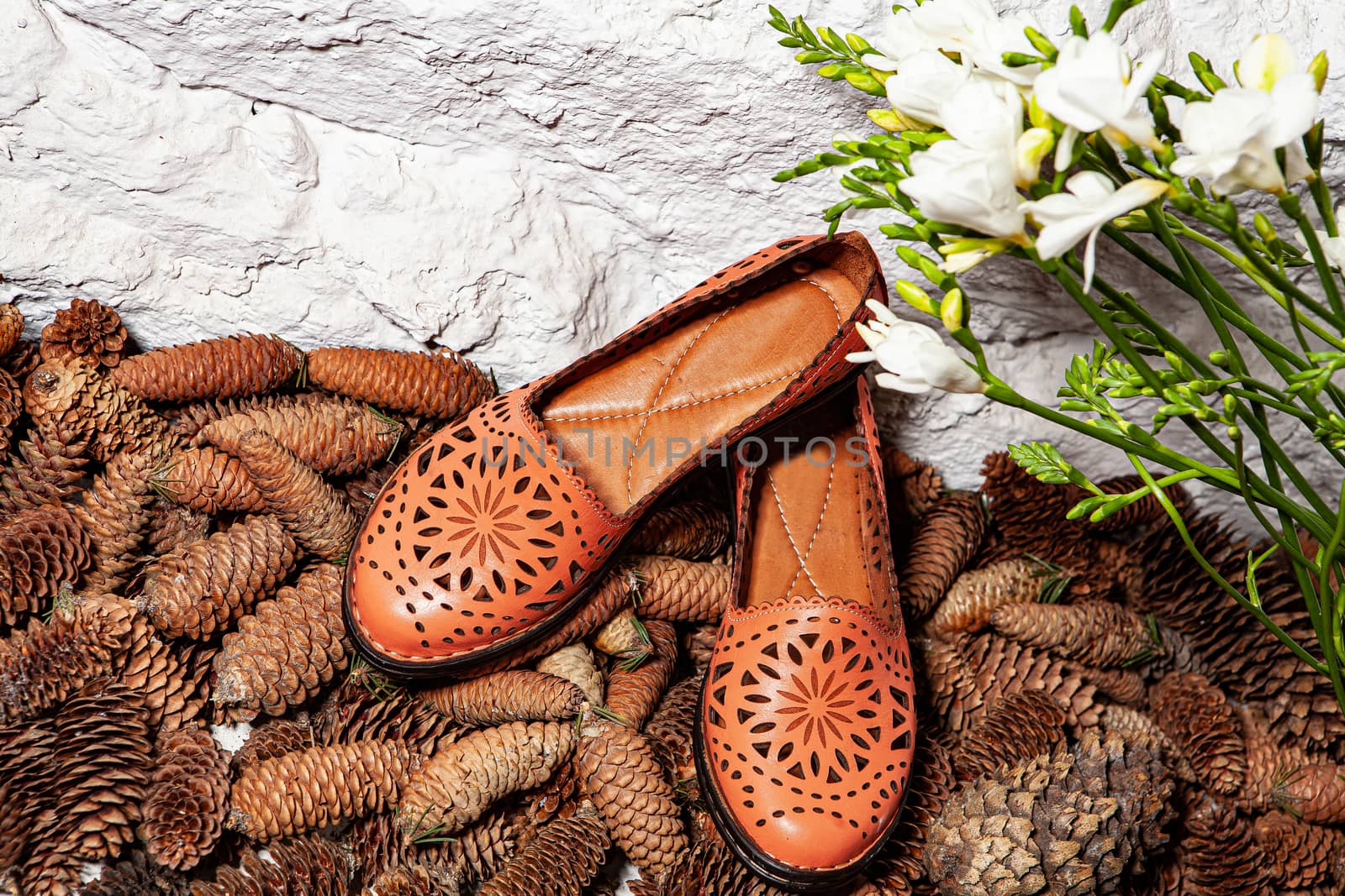 Different shoes with accessories on a studio background