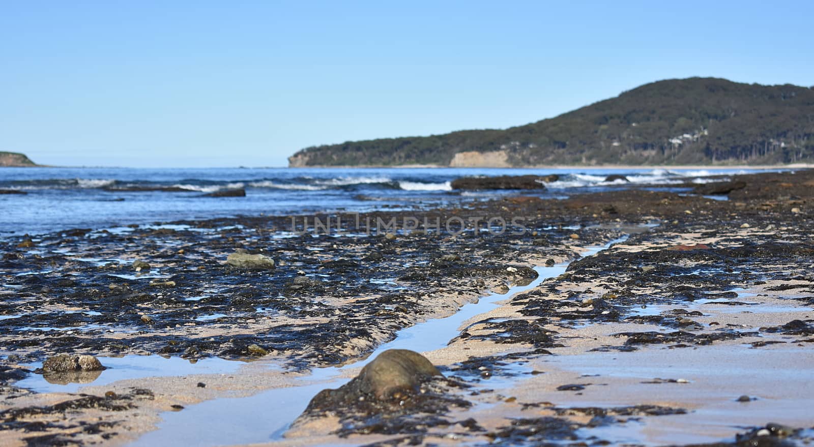 Seascape from the rocks with a line leading towards a mountain