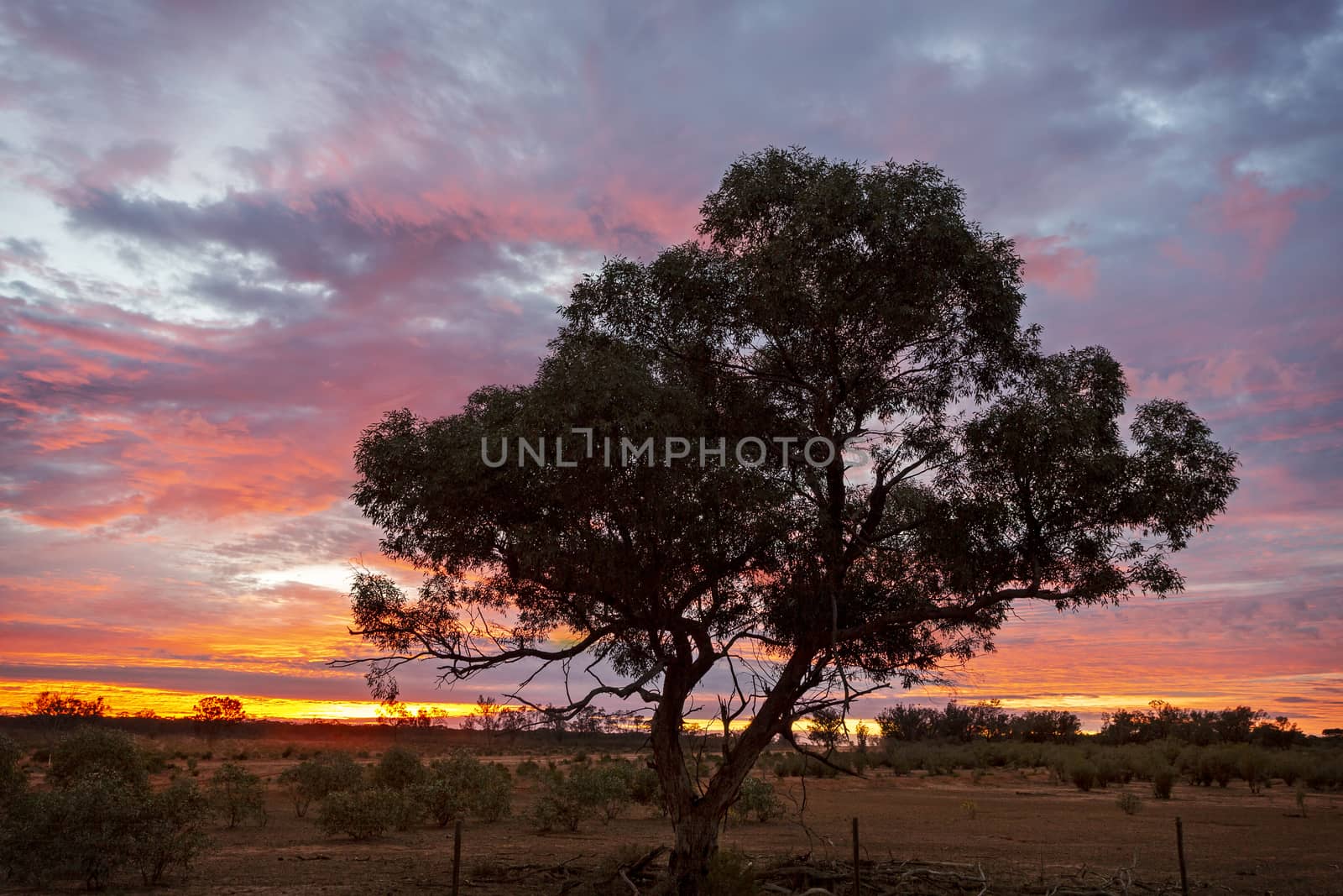 Outback sunrise landscape over dry scrubby farm land fields