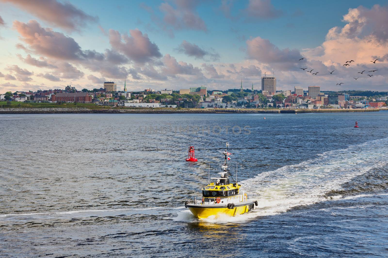 A bright yellow pilot boat speeding across a calm blue harbor