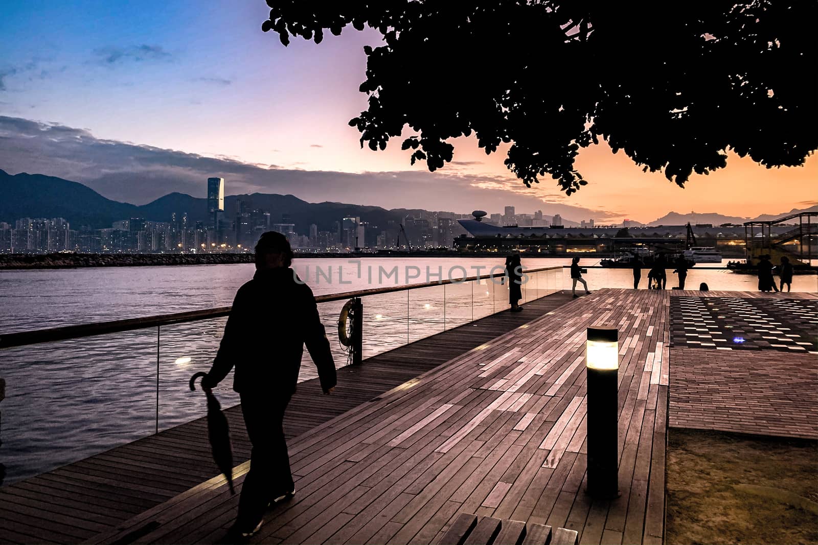 Silhouette of people and tree near the Hong Kong river in downto by cougarsan