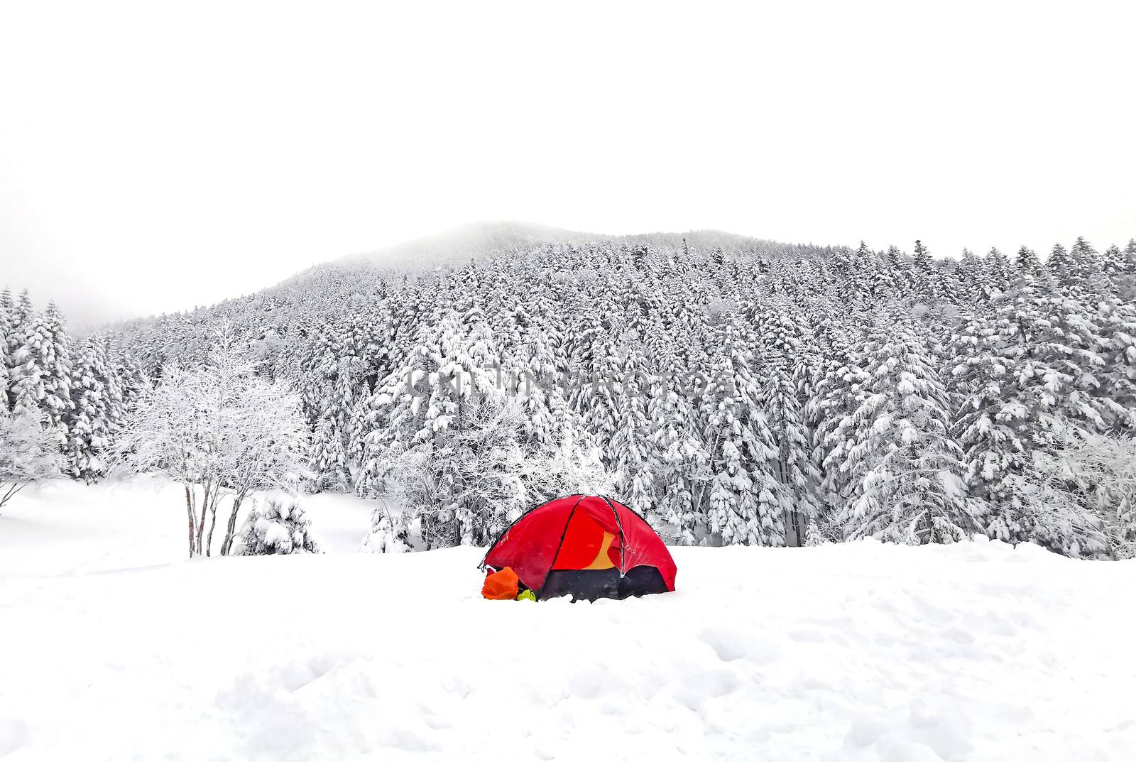 Red tent, natural snow hill in Japan Yatsugatake mountains by cougarsan