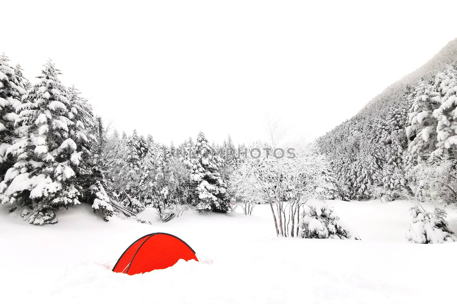 The red tent, natural snow hill in Japan Yatsugatake mountains
