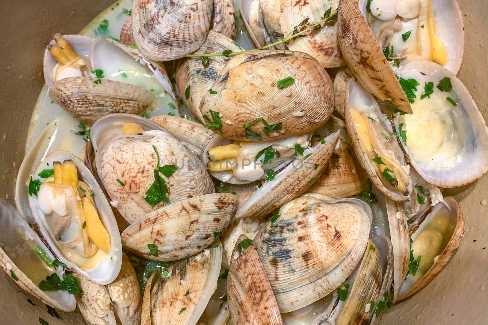 The close-up of fresh appetizer cooked seafood shell food