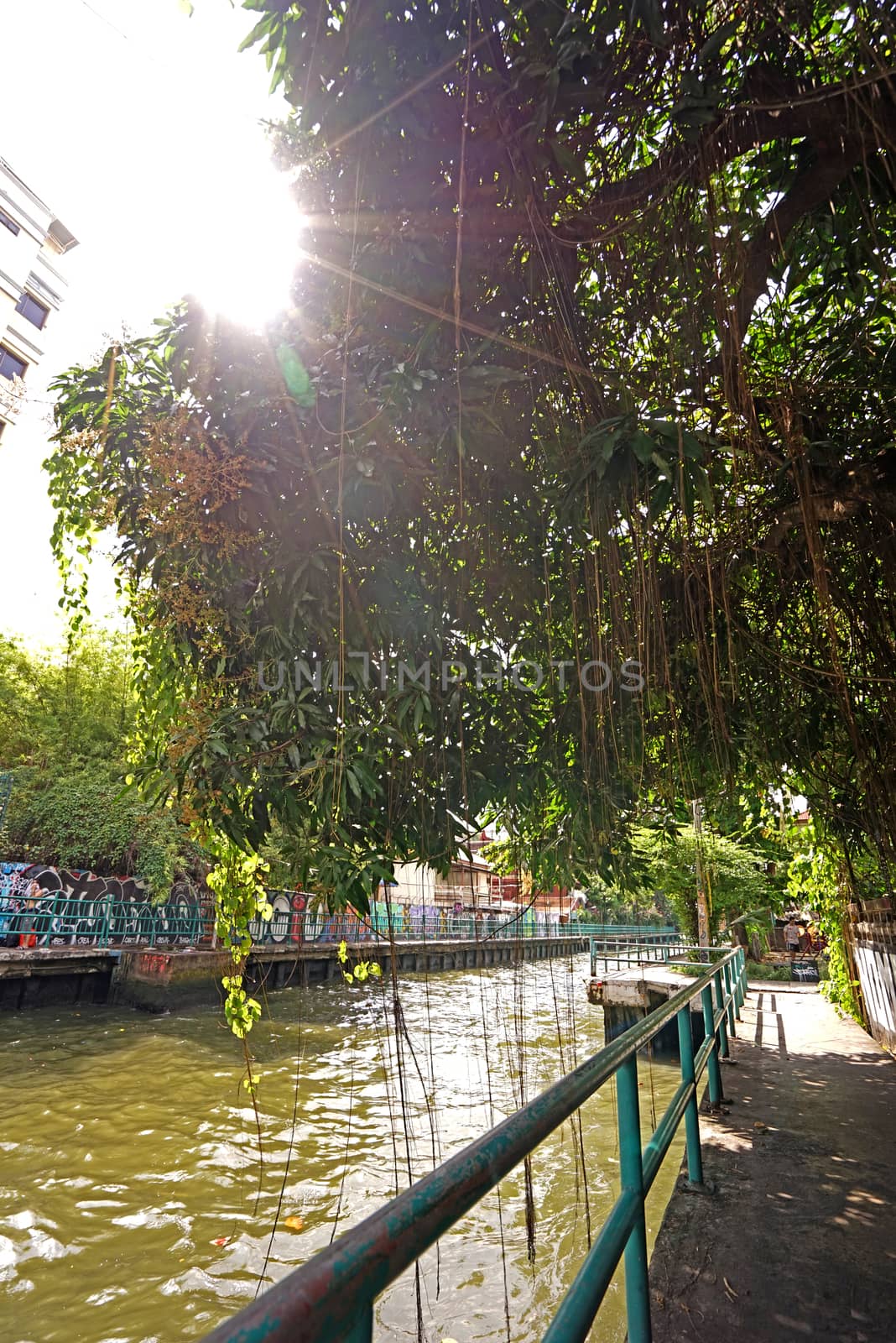 The Thailand village river, footpath, sun with sunlight flare at daytime