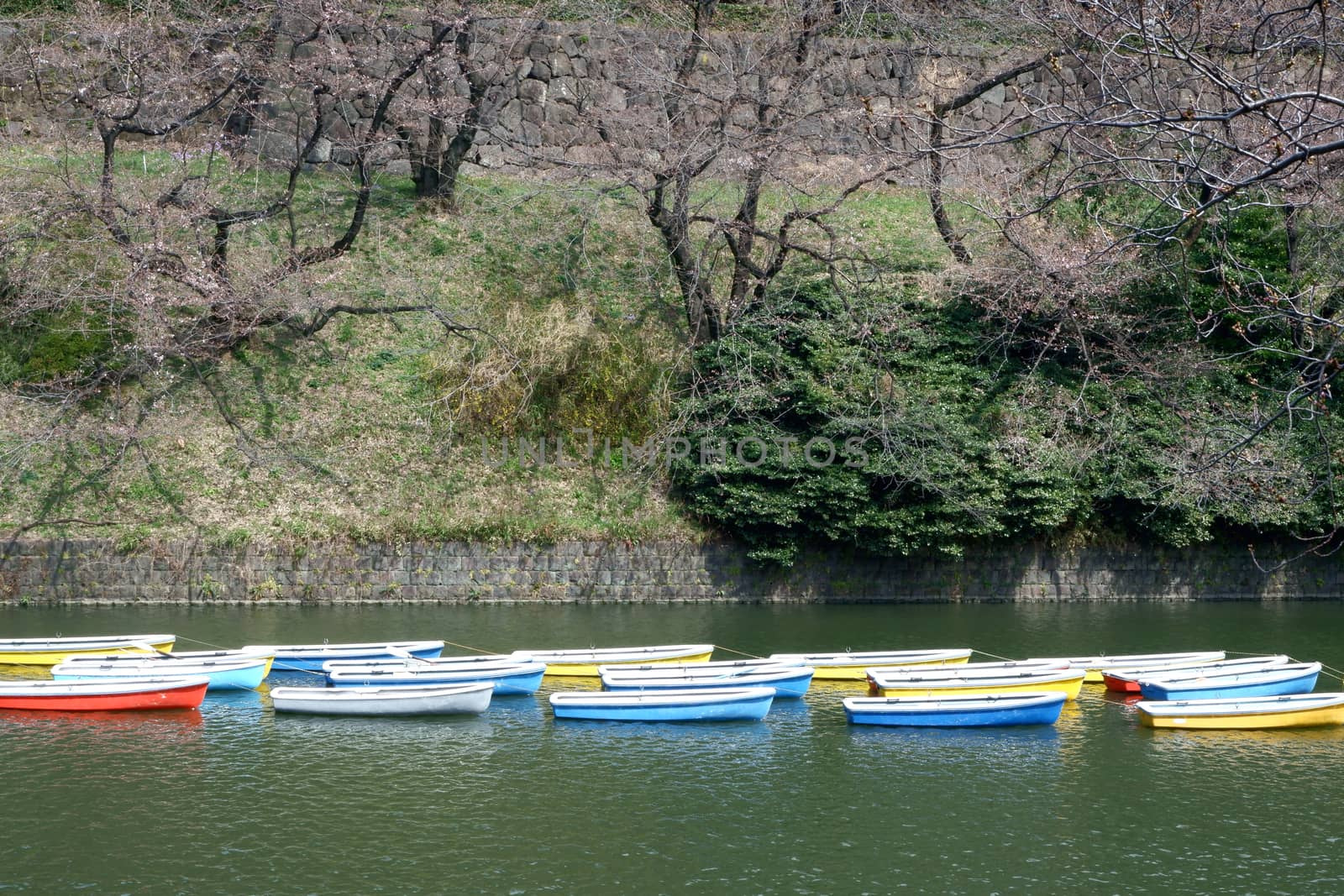 The Japan outdoor park river with colorful sight seeing boat in sunny day